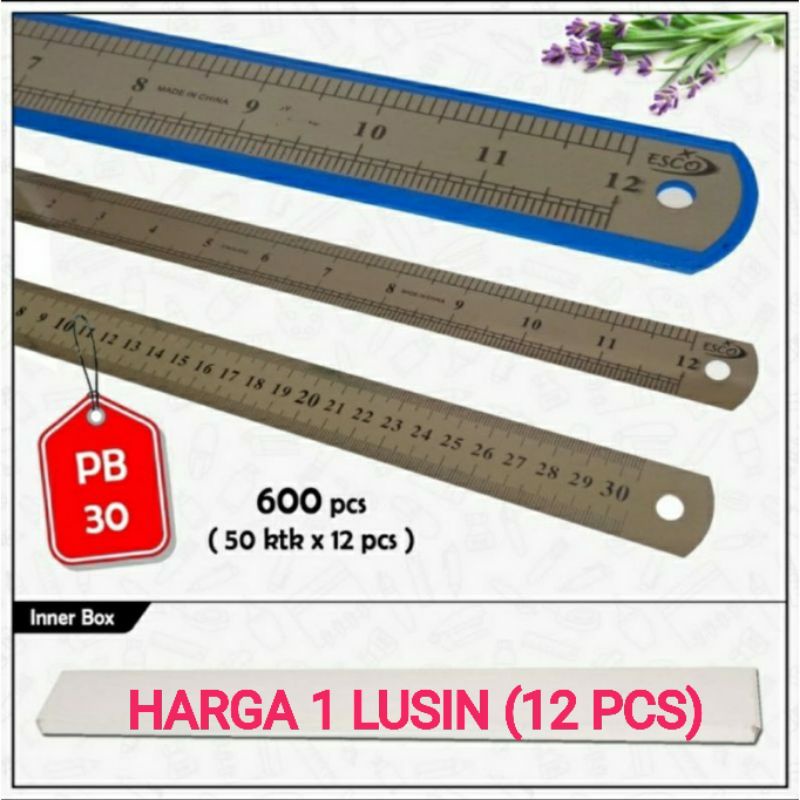 

Penggaris Besi Murah 30 Cm Isi 12 Pcs