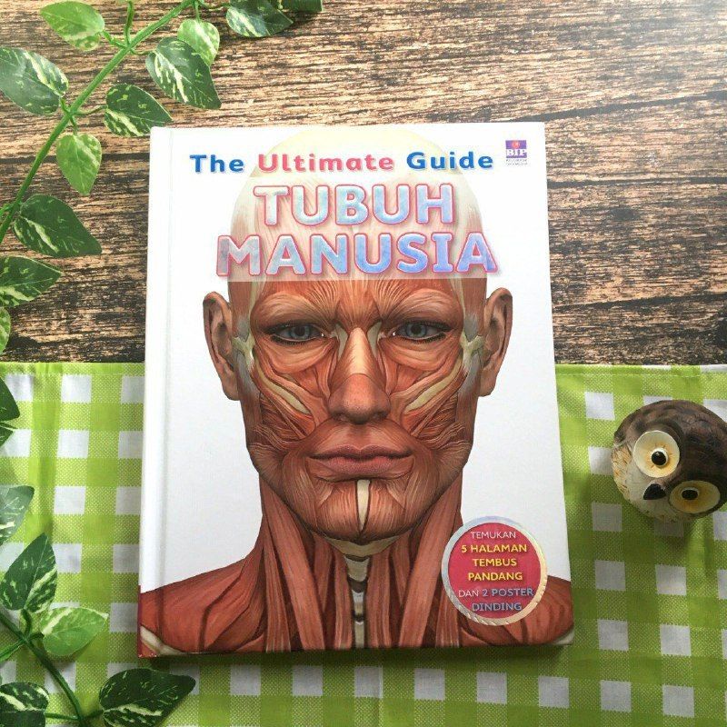 buku anatomi anak. anatomi tubuh manusia. buku biologi anak