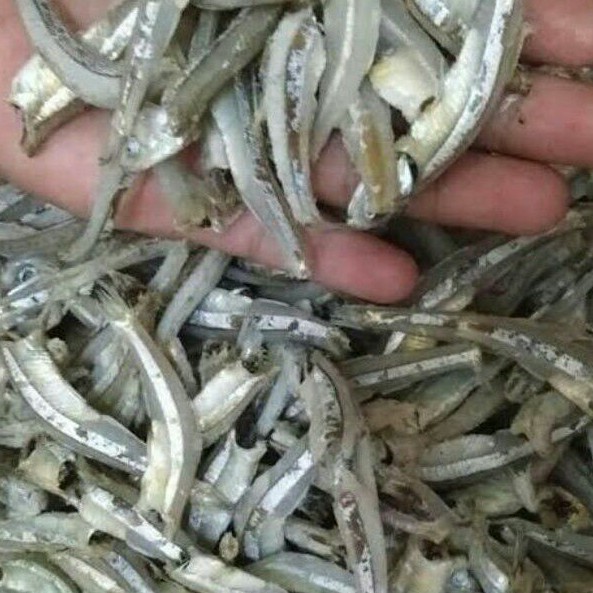 ikan asin teri tongkol teri cue super (1kg)