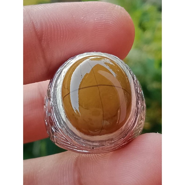 Batu cincin tapak jalak badar galih asem