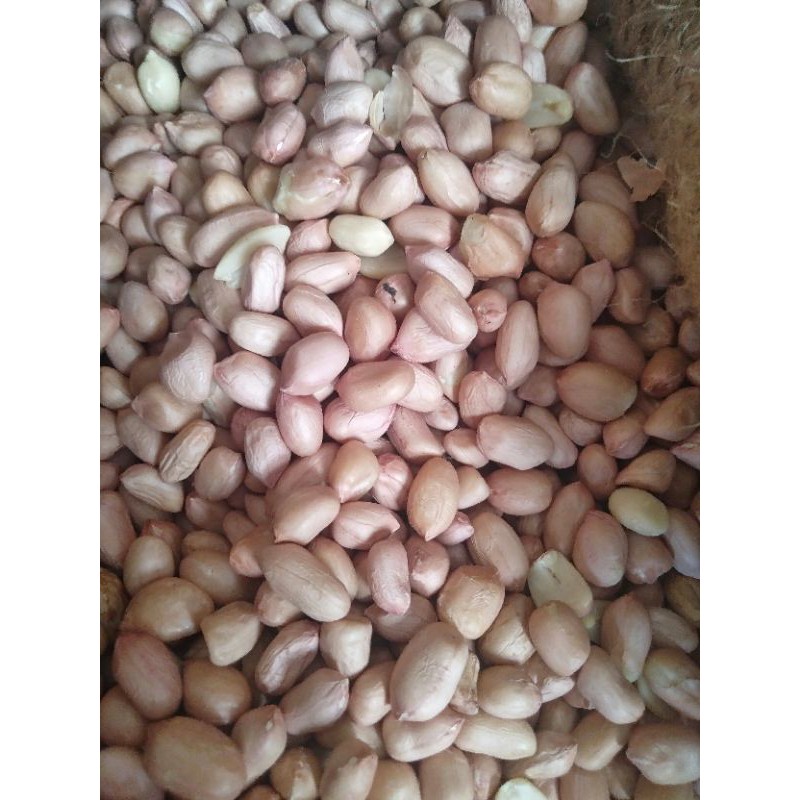 

KACANG TANAH 500gr