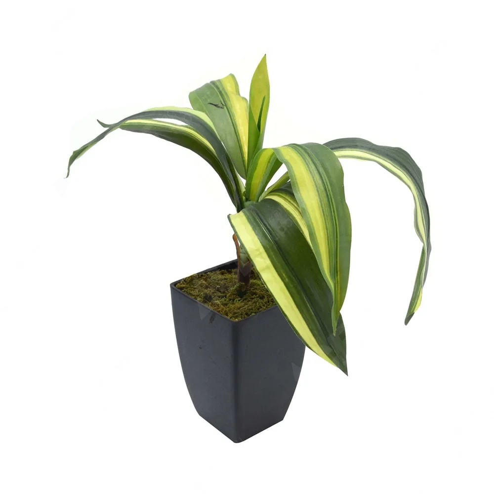 ACE Kris Garden 55 Cm Tanaman Artifisialdracaena