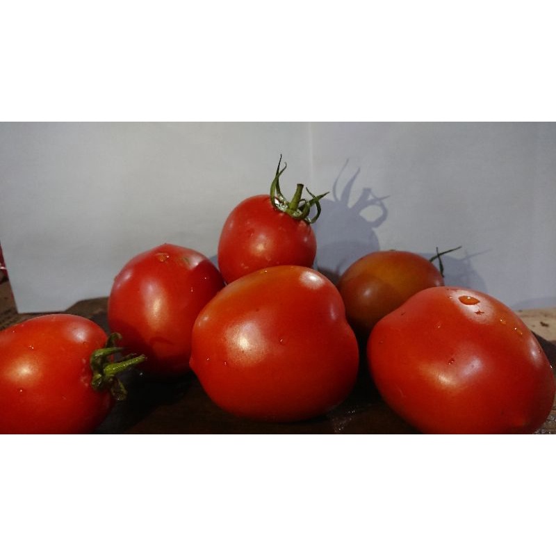 

Tomat Merah