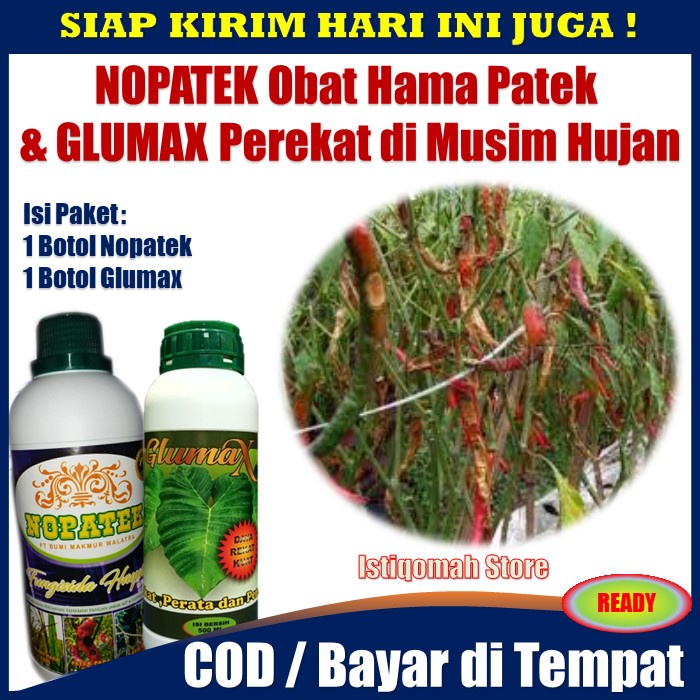 PROMO COD NOPATEK &amp; GLUMAX Perekat di Musim Hujan - Fungisida No Patek Obat Cabe Anti Patek - Obat Nopatek Cabe - Obat Hama Nopatek - Pungisida Nopatek Obat Hama Patek Pada Tanaman Cabe Cabai Ampuh - Obat Patek Paling Ampuh MURAH TERLARIS