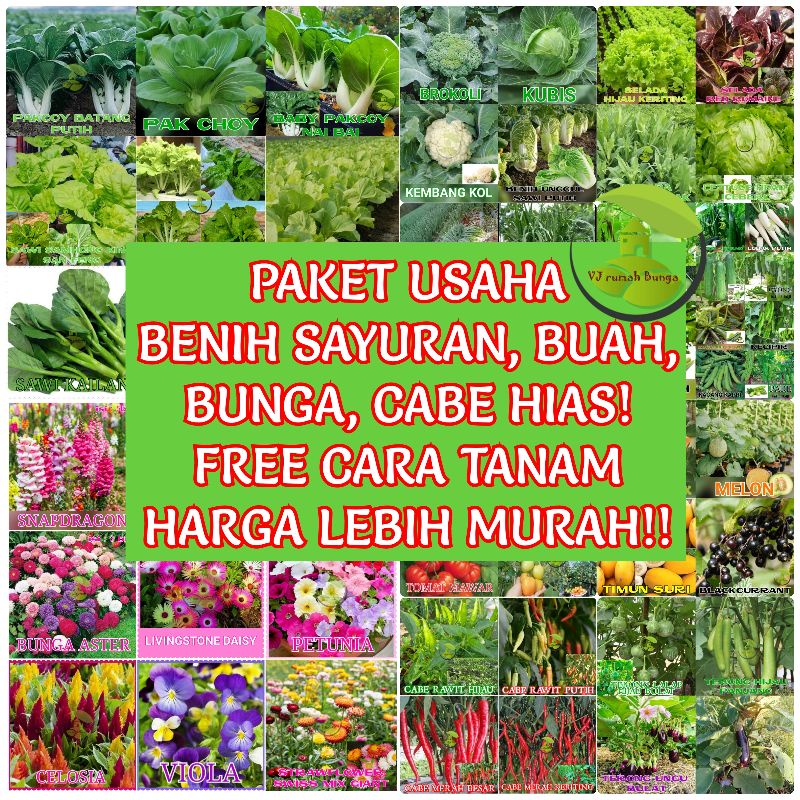 PAKET USAHA Benih Bibit Sayuran Bibit Sayur Buah Bunga