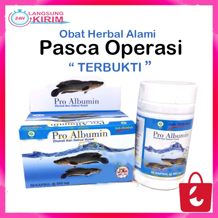 [100% Asli] Pro Album Ekstrak Ikan Gabus Kapsul Albumin Ikan Gabus Obat Herbal Pasca Operasi 50 Kapsul