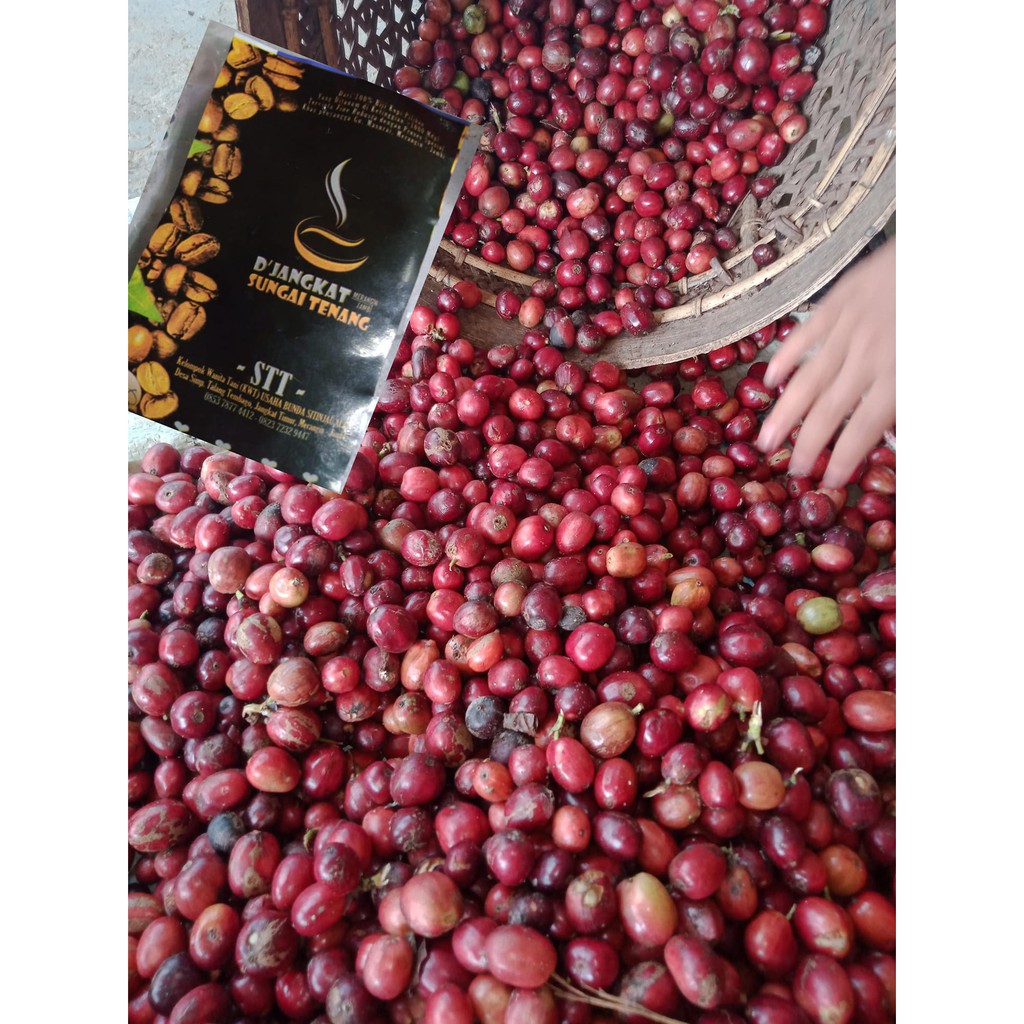 

KOPI D'Jangkat