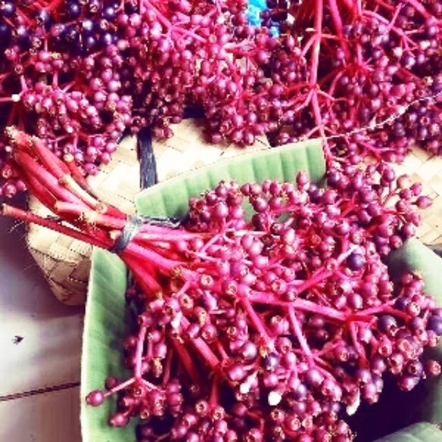 

Buah parijoto