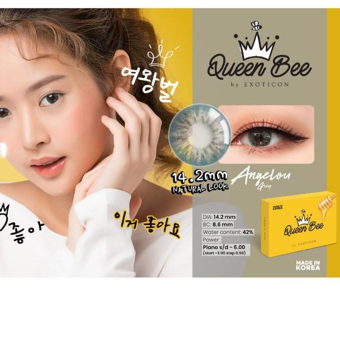☁ SOFTLENS QUEEN BEE / MINUS (-2.75 s/d -6.00) / 14.2MM / X2 EXOTICON / Softlen Soflen Soflens ►