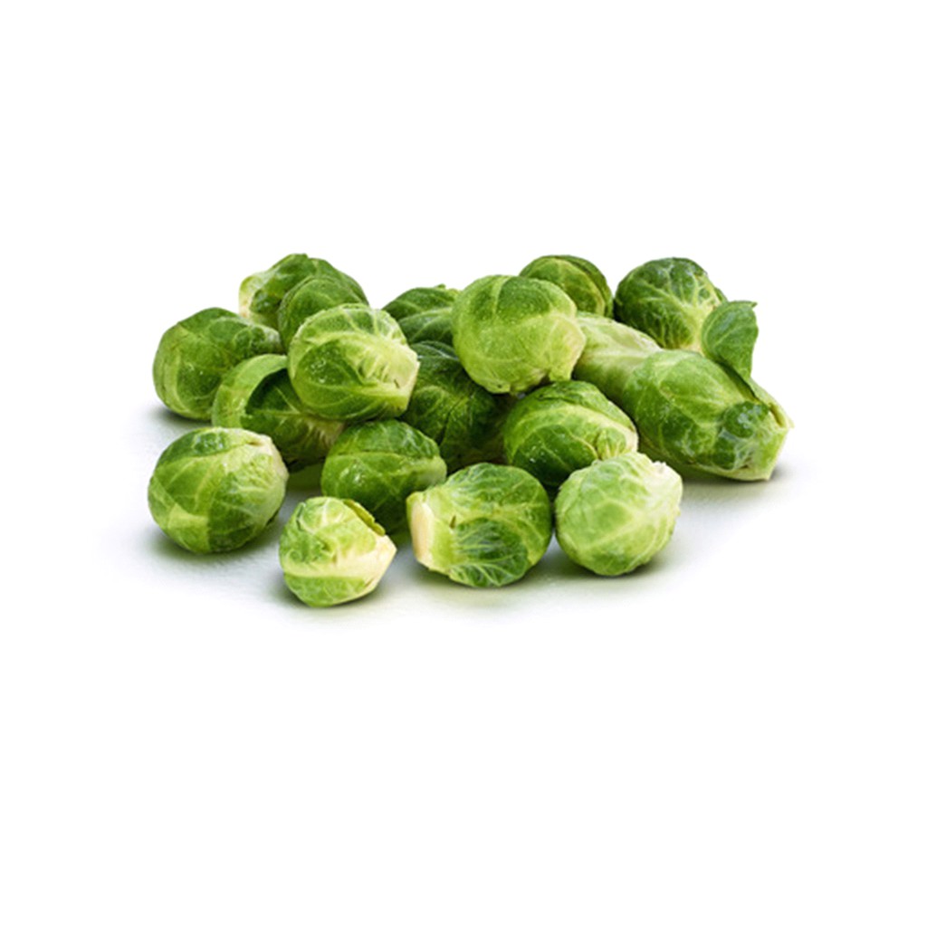 Biji Benih BIbit Brussels Sprout  Repack Haira Seed atau Horti Tops Belanda - Brussel Sprout  Brusel Sprout  Bibit Tanaman Sayuran Kol Mini  Kol Muda  Kubis Muda-4