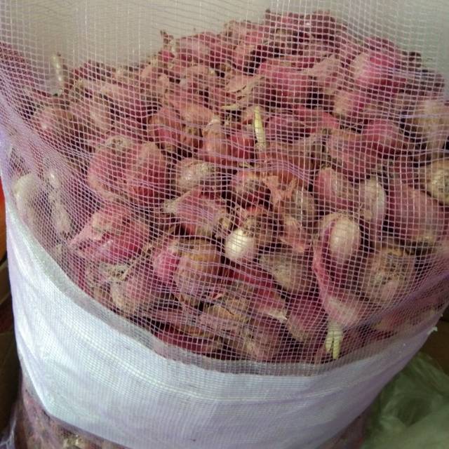 

Bawang merah brebes 10 kg