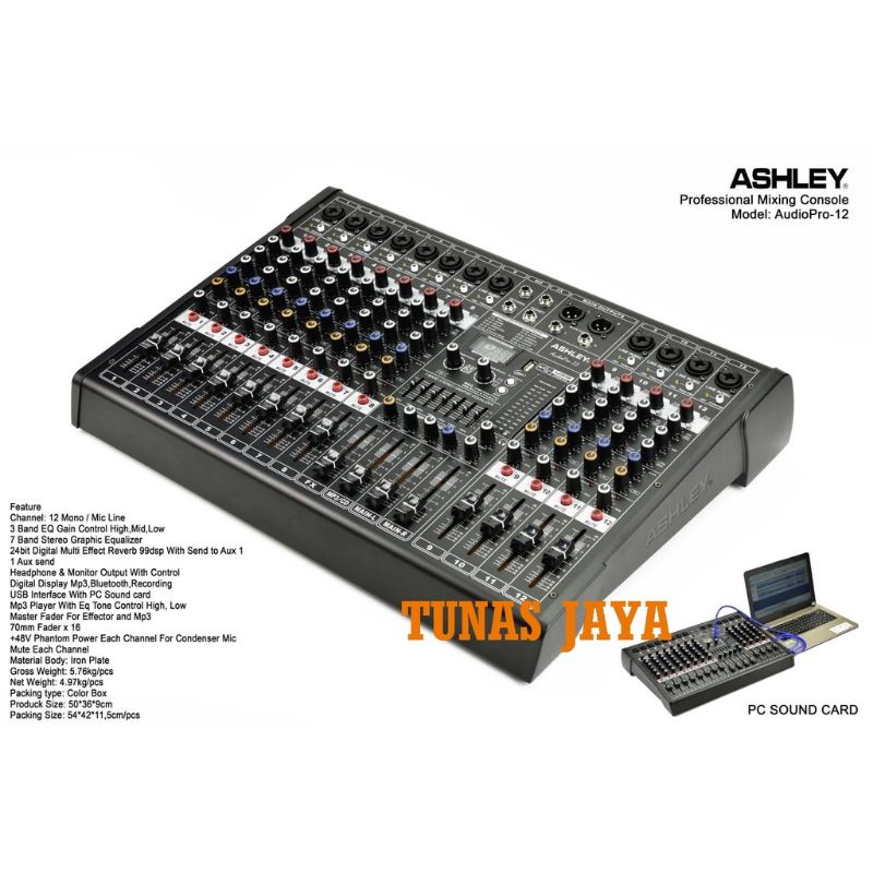 Mixer ASHLEY 12 CHANNEL MIXER ASHLEY AUDIO PRO 12/AUDIOPRO 12