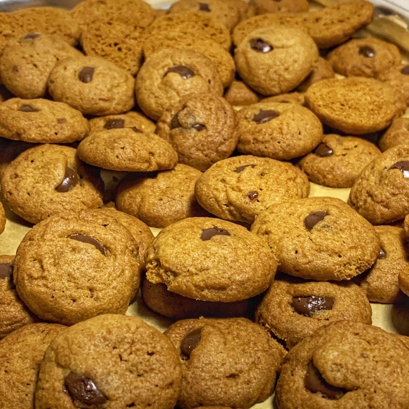 

Cocoa crunchy cookies