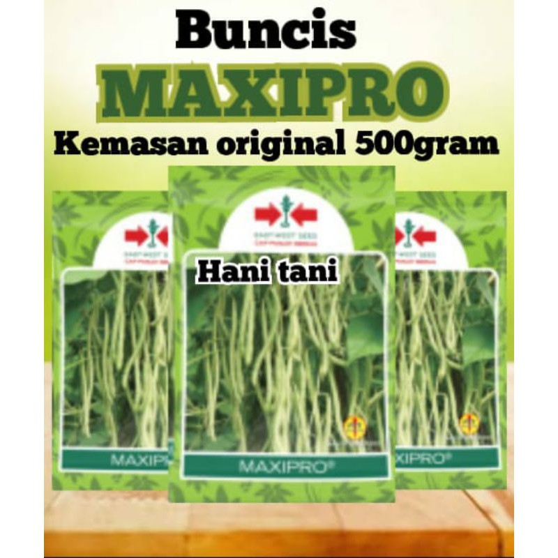 BENIH BIBIT TANAMAN PERTANIAN SAYURAN HIDROPONIK BUNCIS