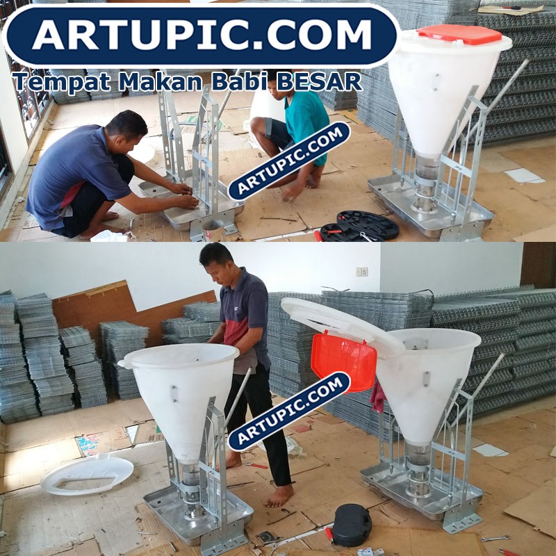 Tempat Makan Babi Besar Pig Feeder Automatic Artupic