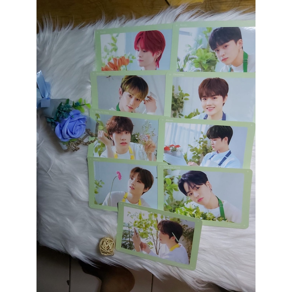 [SHARING BLOOMING TREASURE] READY OFFICIAL BLOOMING TREASURE STAND PHOTO & BOOKMARK