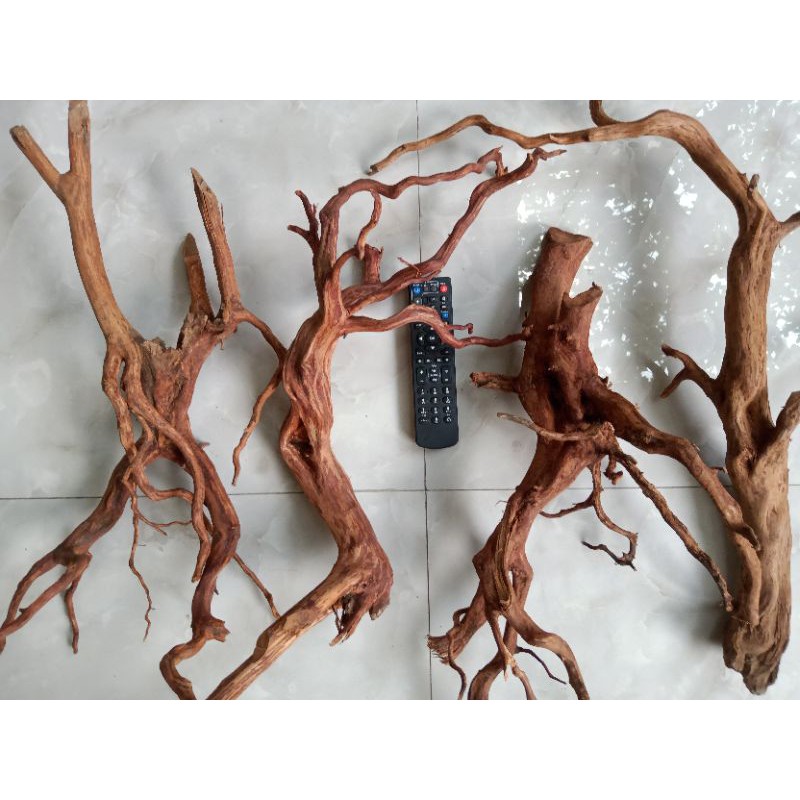 Akar kayu rasamala aquascape size - XL