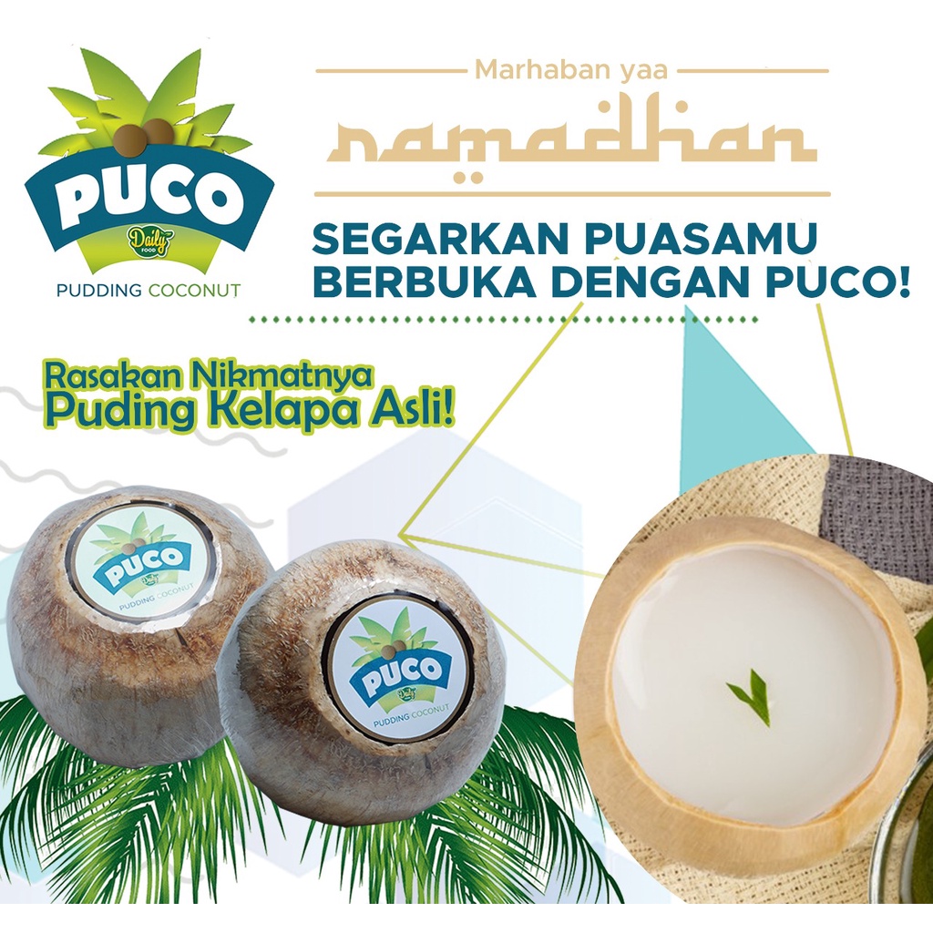 Puding Kelapa Muda Asli PUCO Ala Thailand PUDDING COCONUT by Daily Food