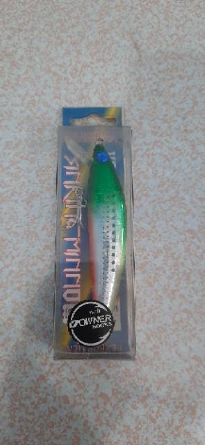 Minnow Singking Fukusima