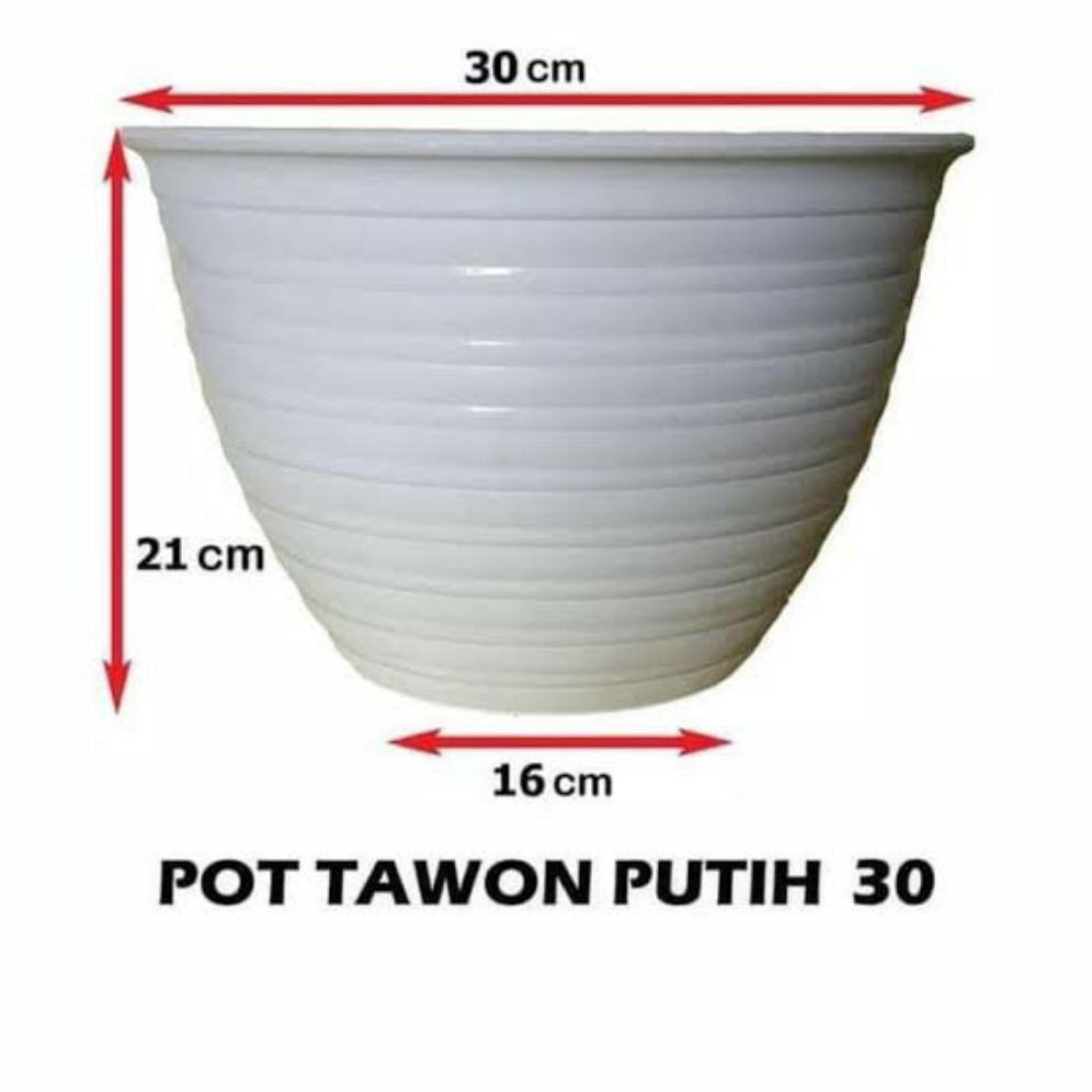 Pot tawon ukuran 30 cm warna putih / pot bunga dan tanaman tawon ukuran 30 cm