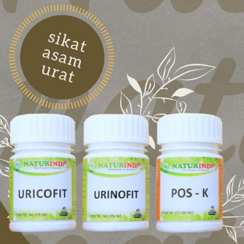 Obat asam urat herbal naturindo