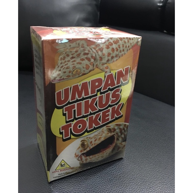 Racun Tokek Cicak Rumah Burung Walet / Umpan Tokek Cicak / Obat Tokek Cicak / Hama Tokek / Racun Tok