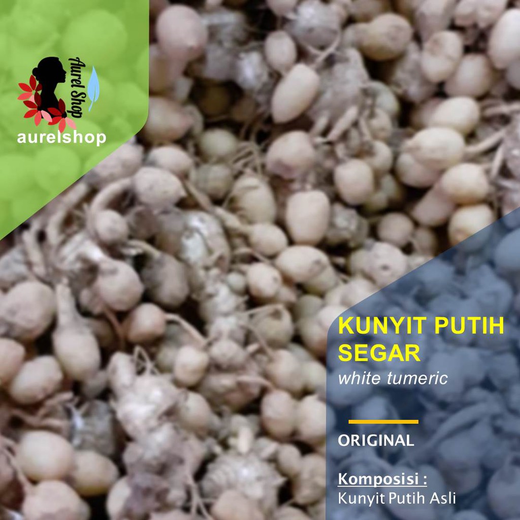 

Kunyit Putih Segar kemasan 1 kg