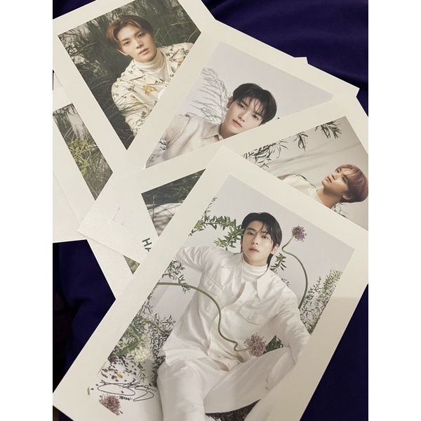 Postcard nature republic cica nct 127