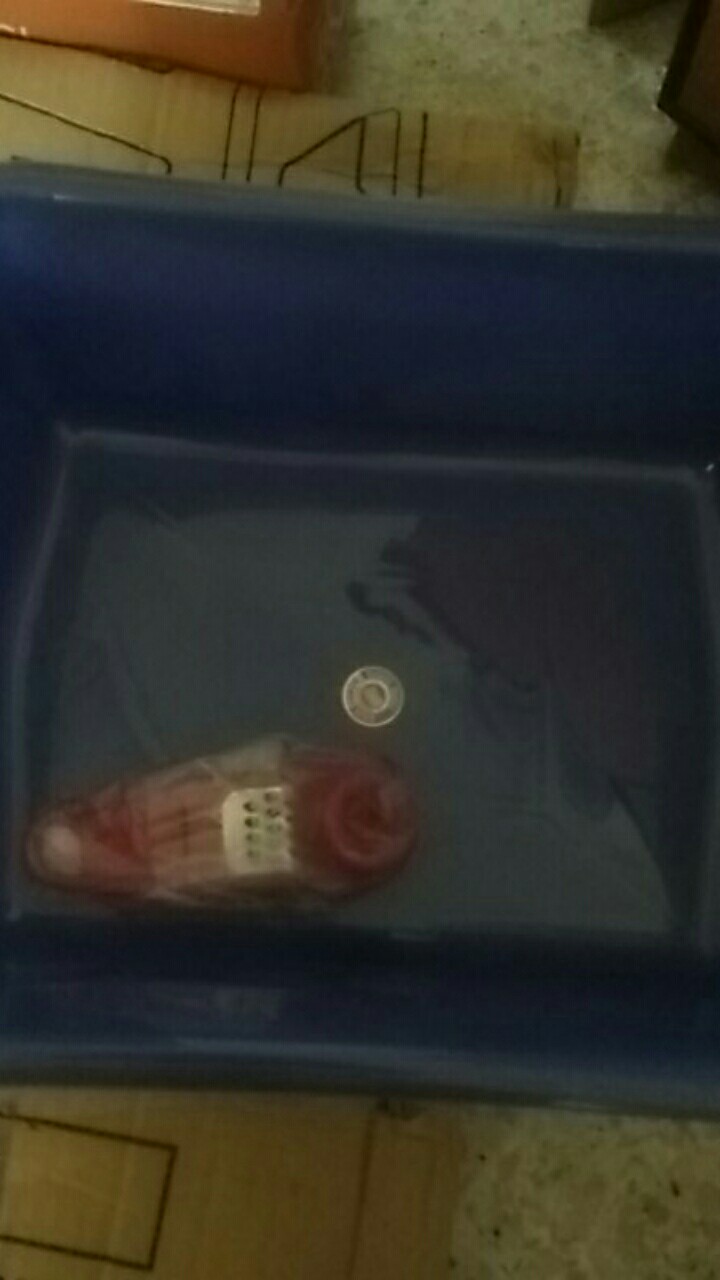 Bak Pasir Kucing Segi Bak Segi Warna Bak Tahu Segi Warna 302 Komet