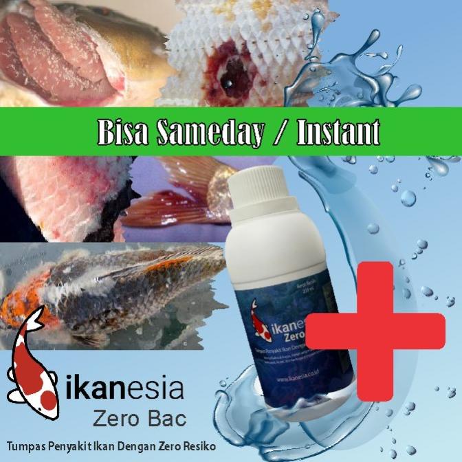 Obat Ikan Koi Zero Bac 250 Ml