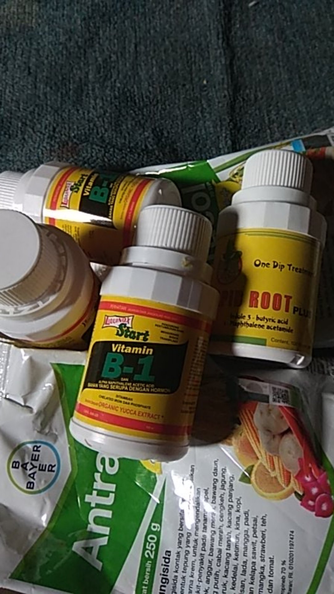 Fungisida Antracol 70 Wp Zinc Kemasan Pabrik 250 Gram - Bayer