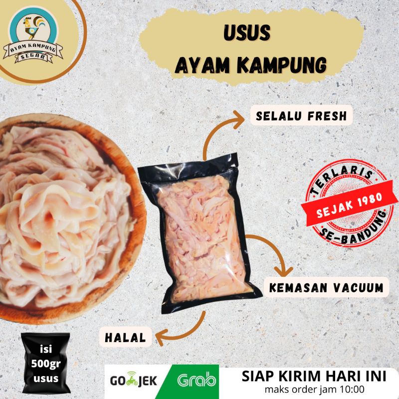 

Usus ayam kampung segar per 500 gram khusus Bandung