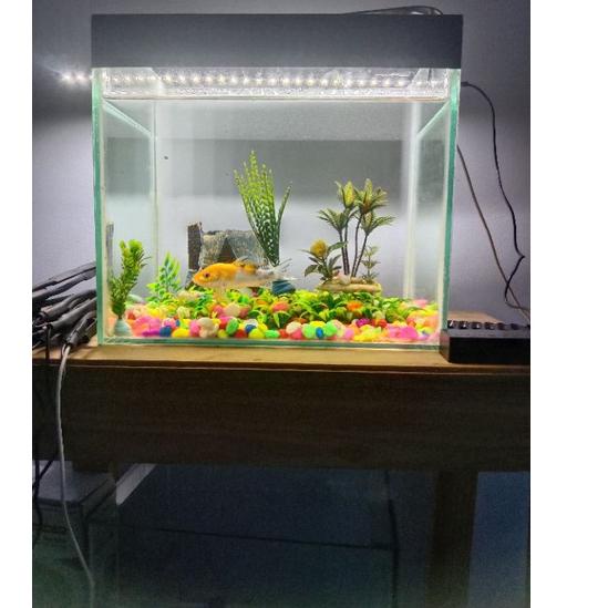 (Recomended) Lampu Led 50 cm 28+led Kabel Usb Super Terang Lampu Aquarium Chana Lampu Led Usb Lampu 