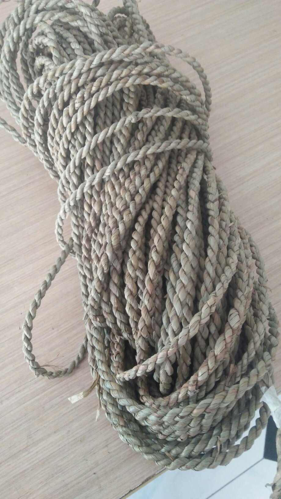 Eceng Gondok 10-13mm/grosir/kg/-+30m