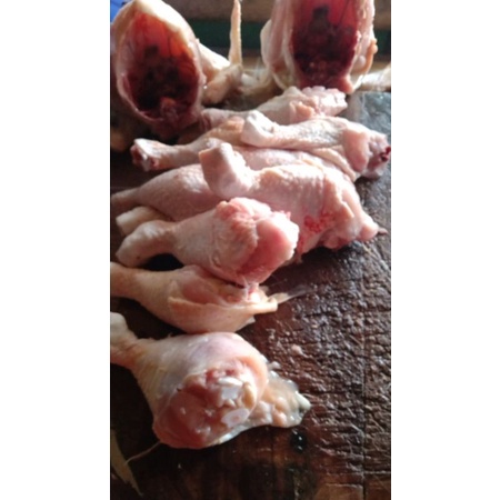 

Ayam Potong Fresh