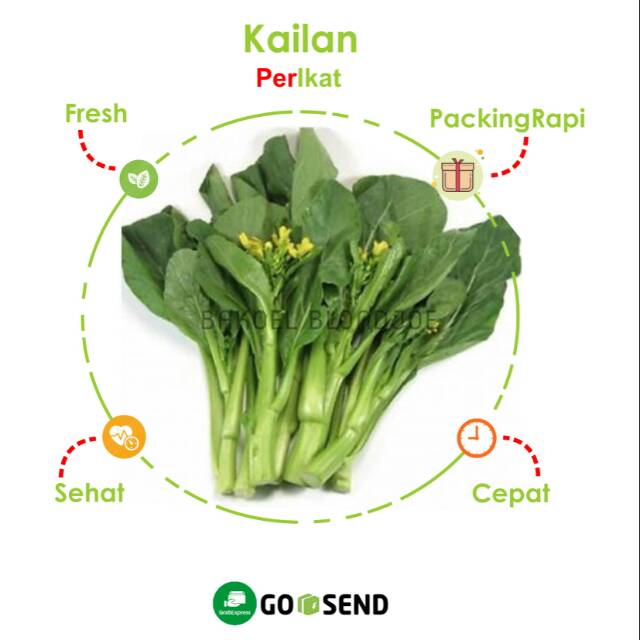 

KAILAN PER PACK / KAILAN 500 GRAM / FRESH VEGETABLES / VEGETABLE / SAYUR SAYURAN SEGAR ONLINE