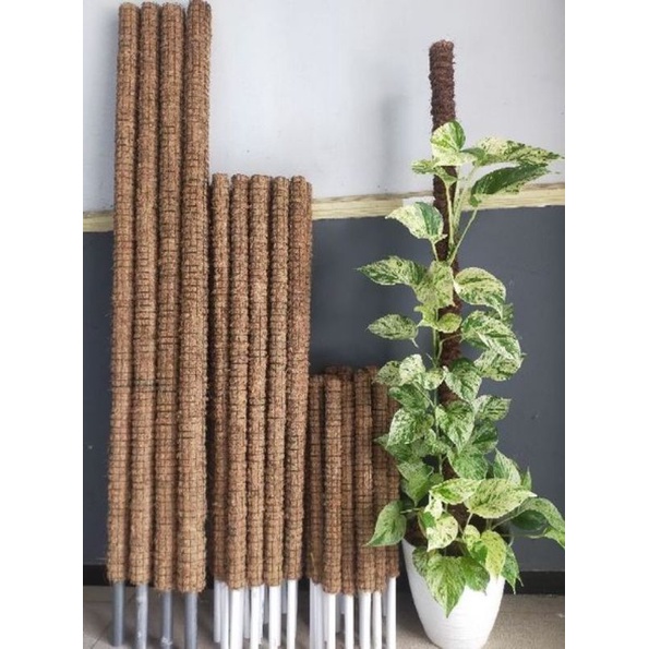 TURUS 100CM,150CM TURUS PENYANGGA TANAMAN SERABUT KELAPA