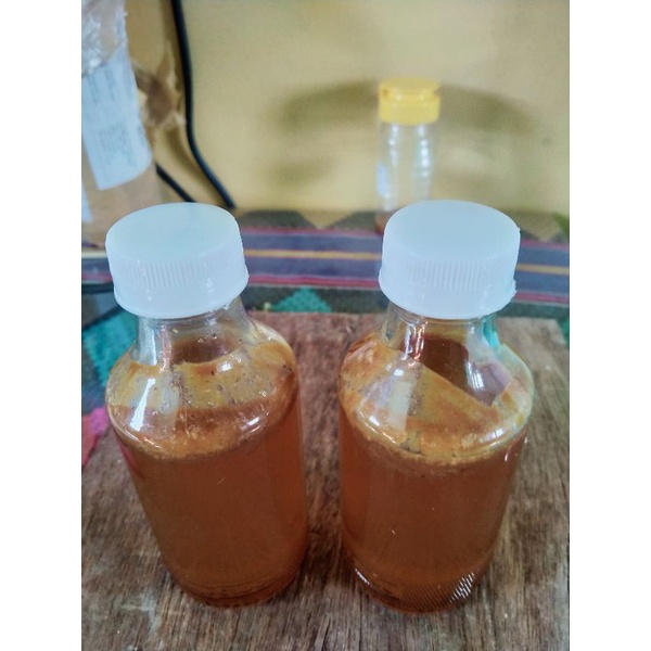 Madu lebah Apis Cerana Liar