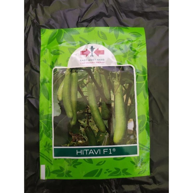 Benih Terong HITAVI F1 / terong hijau cap panah merah