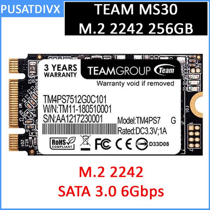 DISKON Team MS30 M.2 2242 SATA SSD 256GB NGFF LAPTOP DESKTOP