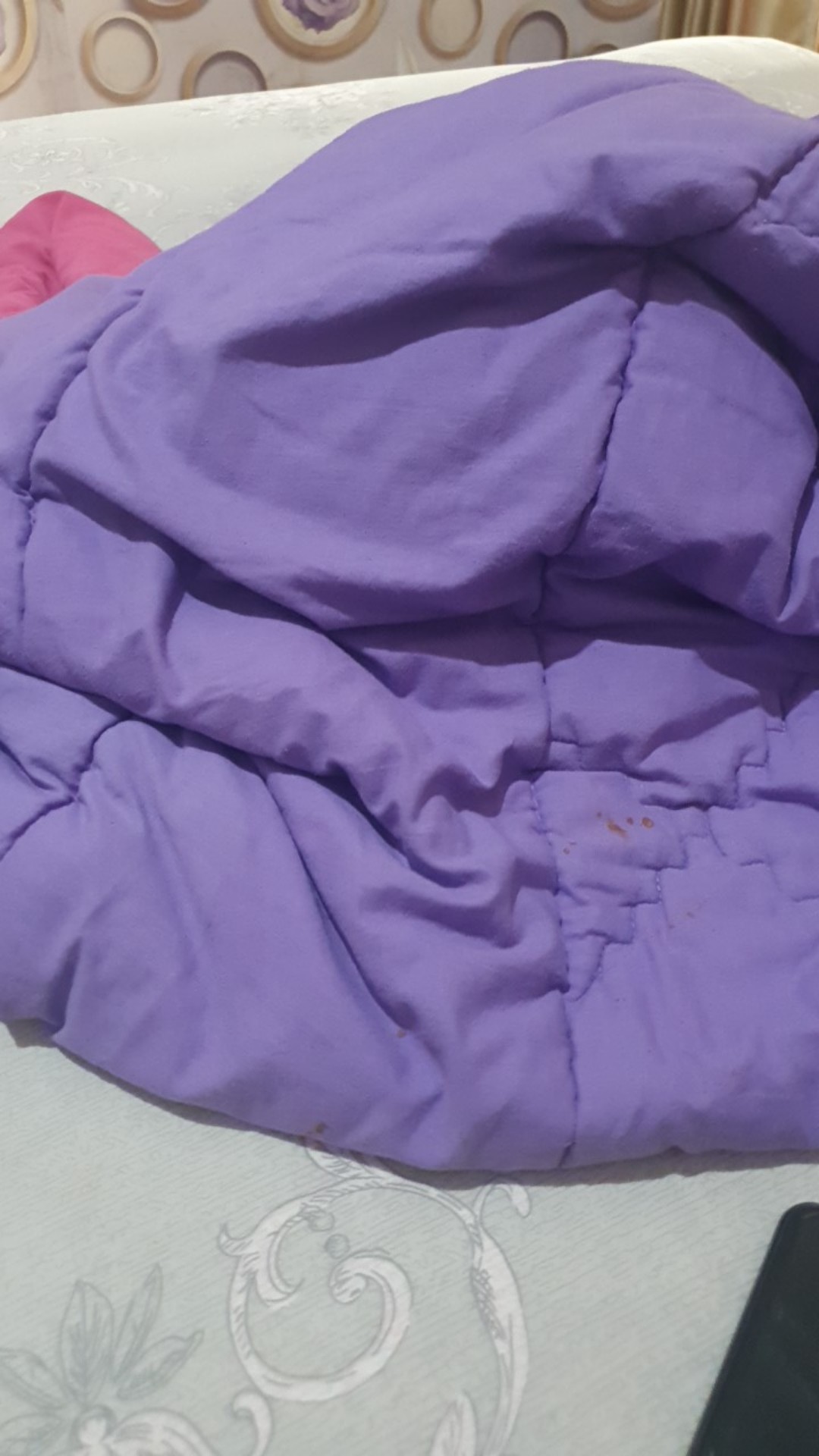 Wajan Stainless Steel Harden Anti Lengket Golden Flying Fish Wok 30 Cm