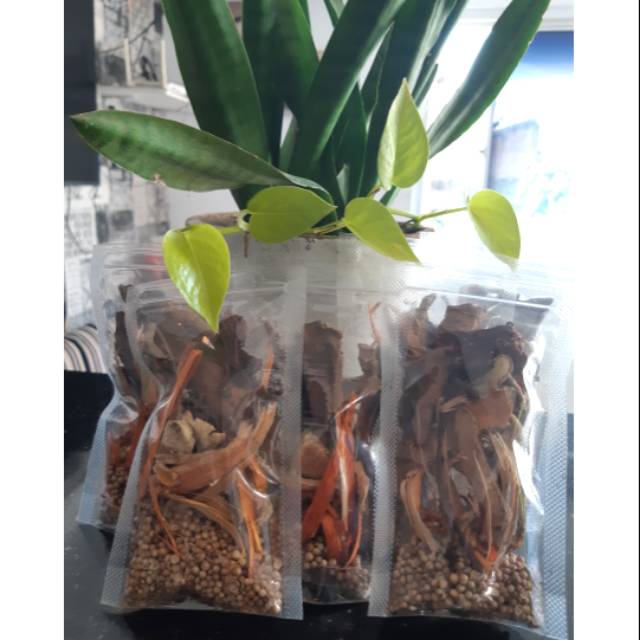 

Rimpang infuse water