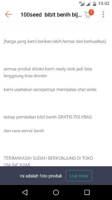 100seed  Bibit Benih Biji Ciplukan