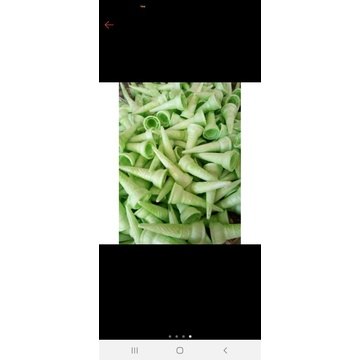 

cone es krim sharp cone ice cream green per dus isi 300 pcs