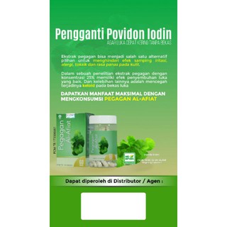 PEGAGAN Herbal  Pengencer  Darah  Nutrisi Otak Anti 