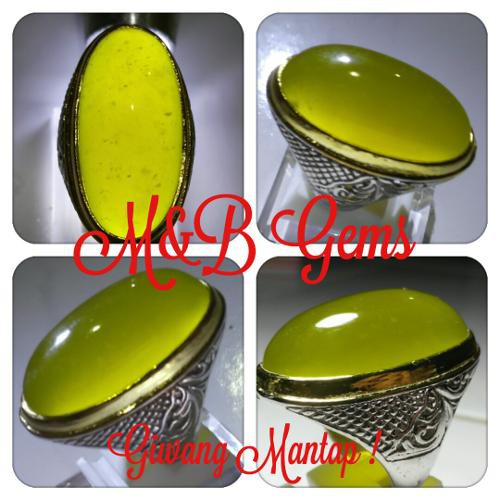 

BIOSOLAR NEON SERPENTINE SUPER HQ #6 with MEMO