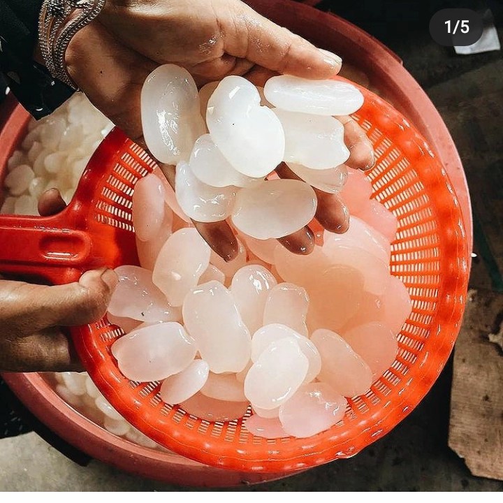 

250gr kolangkaling Alami 100% kolang kaling muda super tanpa pengawet langsung dari petani