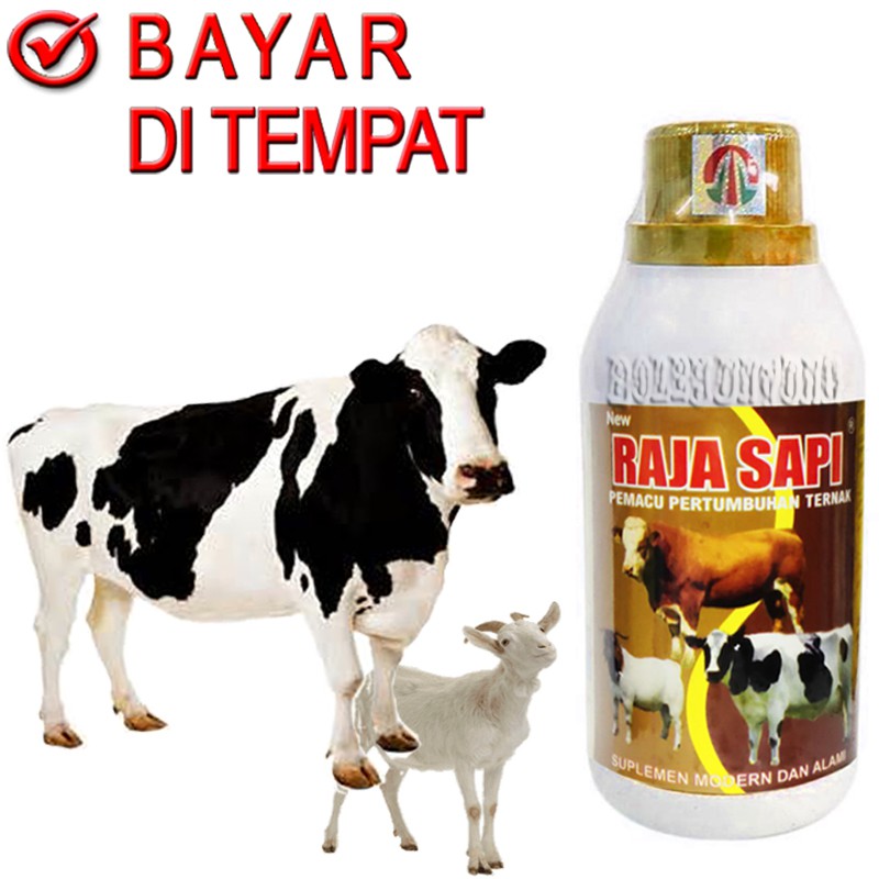 RAJA SAPI VITAMIN GEMUK SAPI KAMBING PENAMBAH NAFSU MAKAN