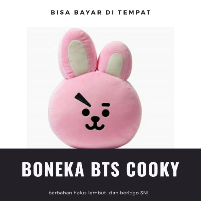  MAINAN  ANAK BANTAL BTS  PINK COOKY BONEKA MAINAN  