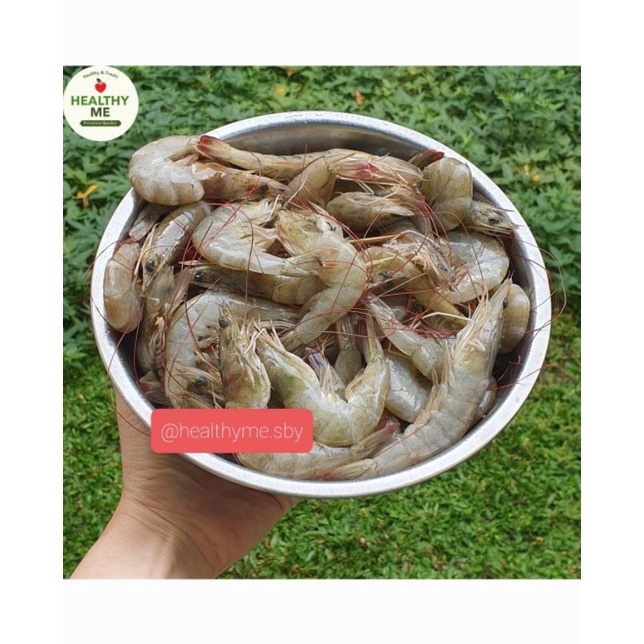

UDANG SEGAR SIZE BESAR 1 KG